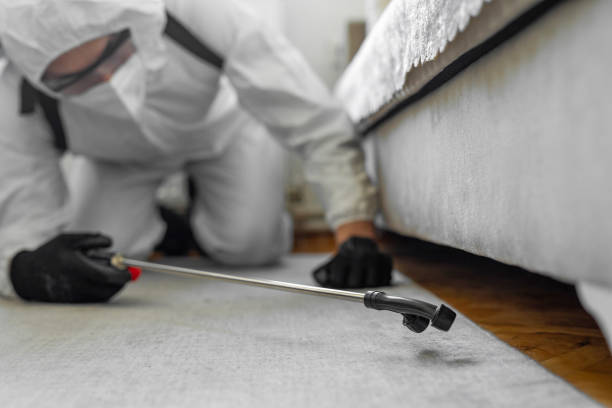 Professional Pest Control technician working in Pemiscot County County, MO